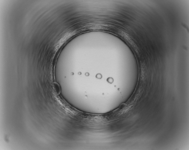 X0000100410986200806201755