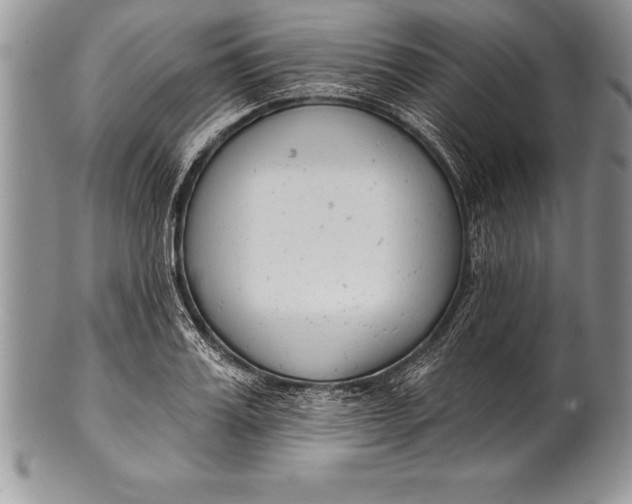 X0000100410987200806201755