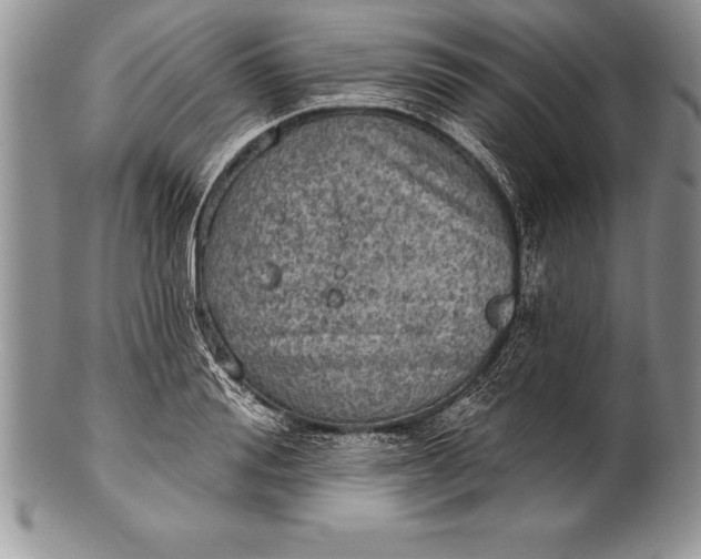 X0000100410988200806201755