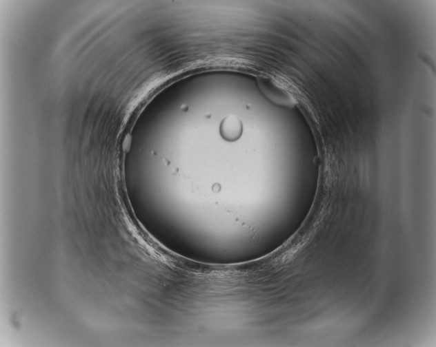 X0000100410989200806201755