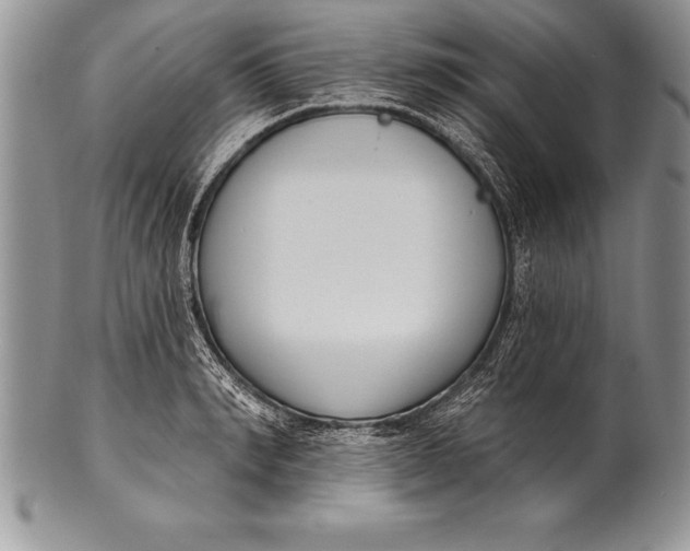 X0000100410990200806201755