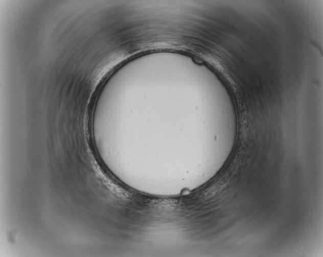 X0000100410991200806201755