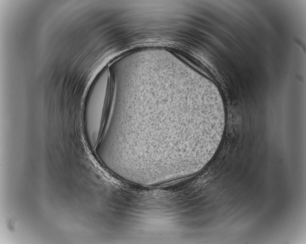 X0000100410992200806201755