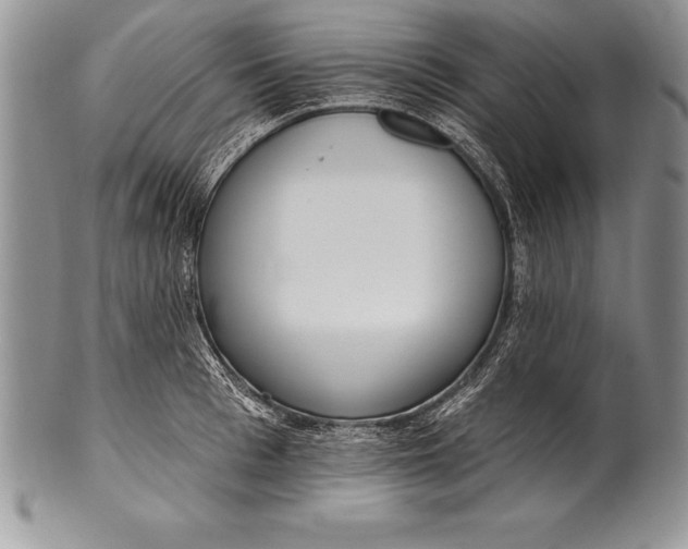 X0000100410993200806201755