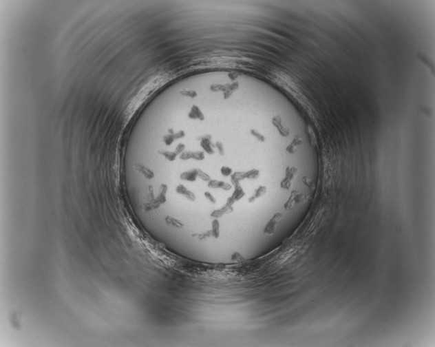 X0000100410994200806201755