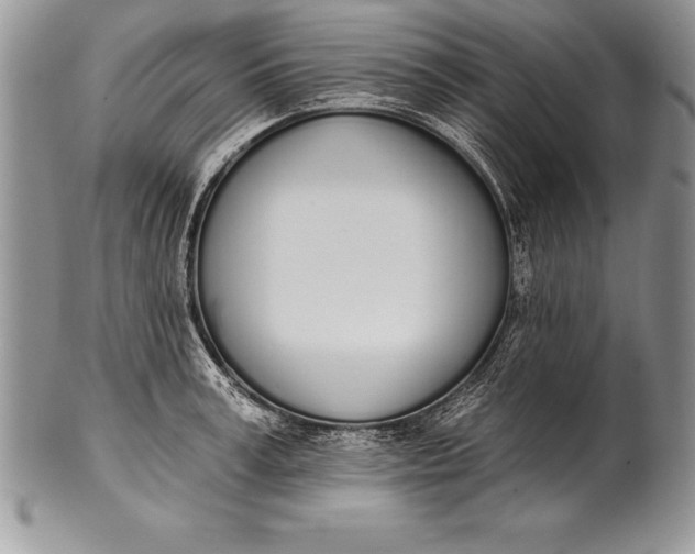 X0000100410995200806201755