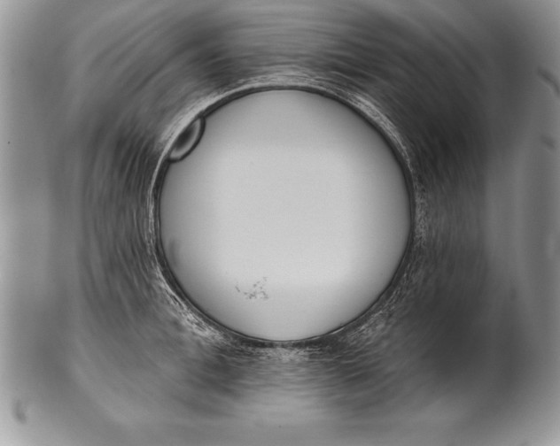 X0000100410996200806201755