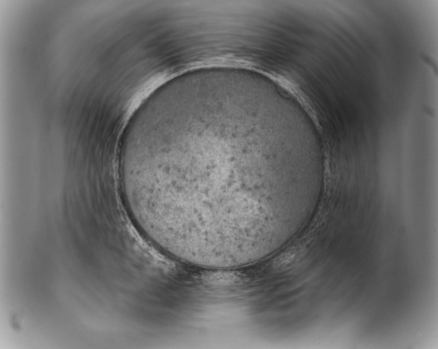 X0000100410998200806201755