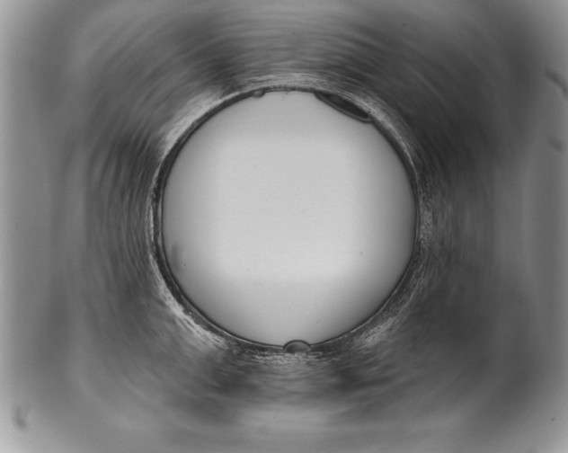 X0000100410999200806201755