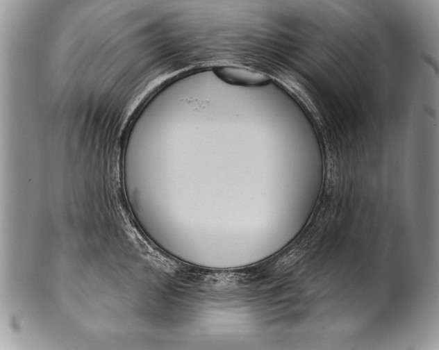 X0000100411000200806201755