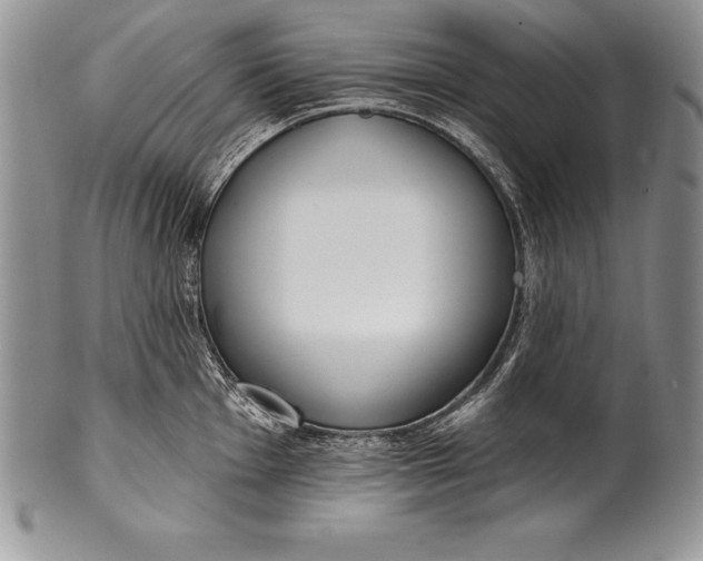 X0000100411001200806201755