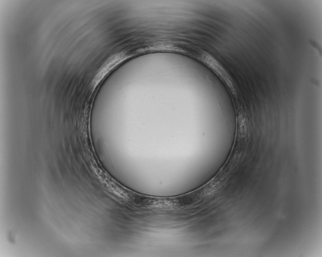 X0000100411002200806201755