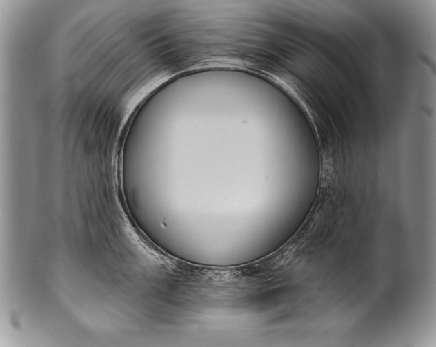 X0000100411003200806201755