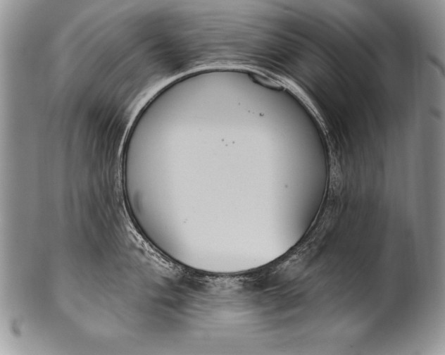 X0000100411004200806201755