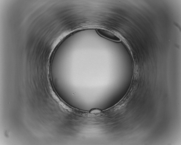 X0000100411005200806201755