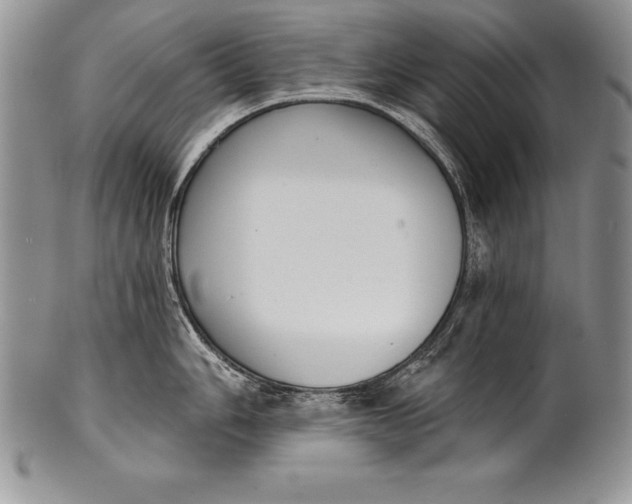 X0000100411006200806201755