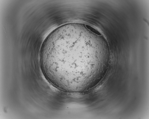 X0000100411007200806201755