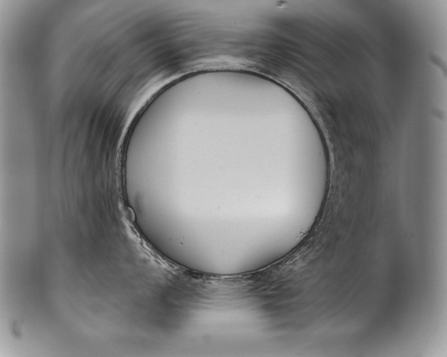 X0000100411008200806201755