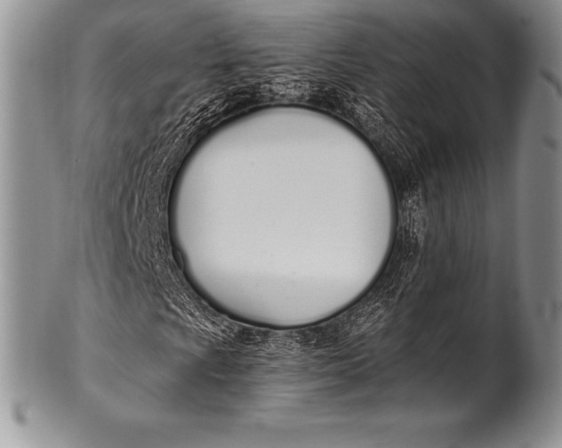 X0000100411009200806201754