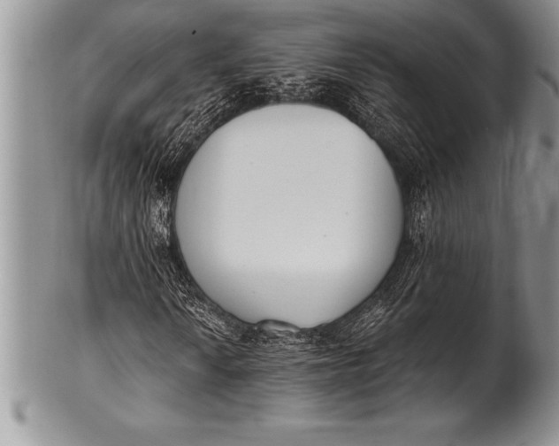 X0000100411010200806201754