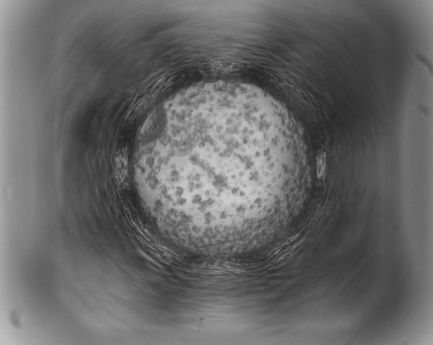 X0000100411011200806201754