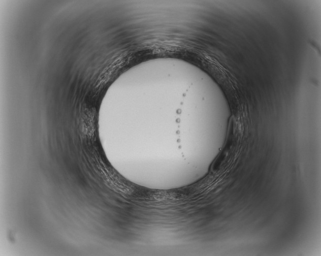 X0000100411012200806201754