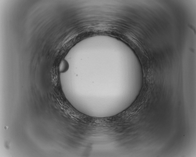 X0000100411015200806201754