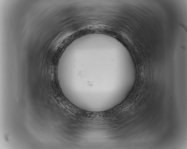 X0000100411016200806201754