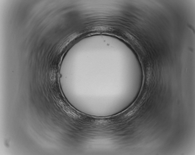 X0000100411017200806201754