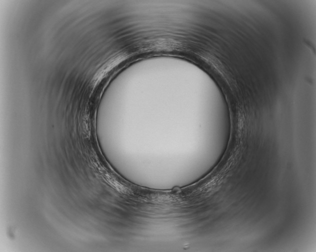 X0000100411018200806201754