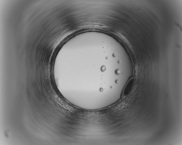 X0000100411020200806201754