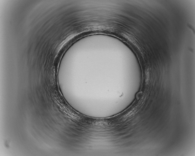 X0000100411021200806201754