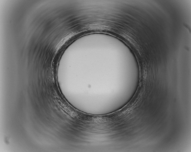 X0000100411022200806201754