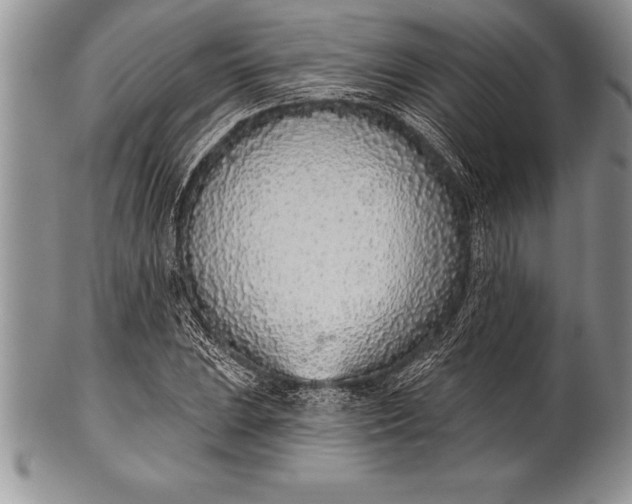 X0000100411023200806201754