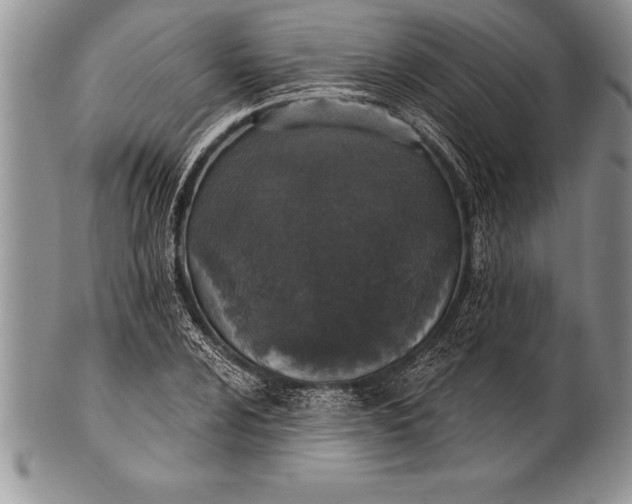 X0000100411024200806201754