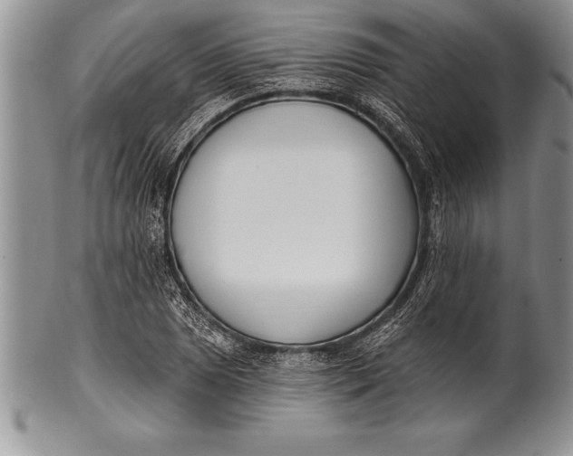 X0000100411025200806201754