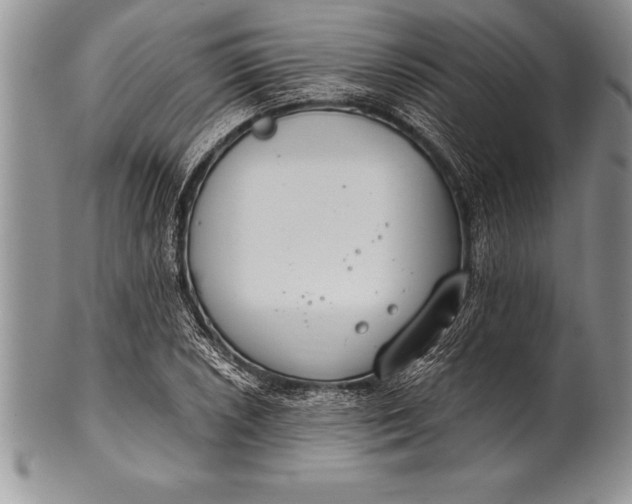 X0000100411026200806201754