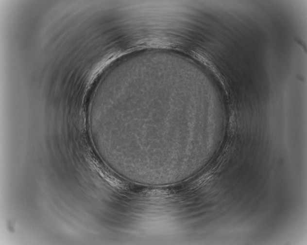 X0000100411027200806201754