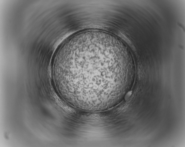 X0000100411028200806201754