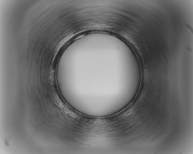 X0000100411029200806201754