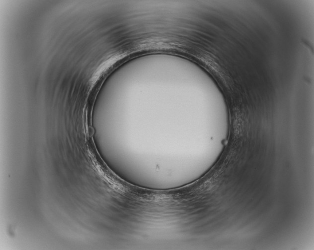 X0000100411030200806201754