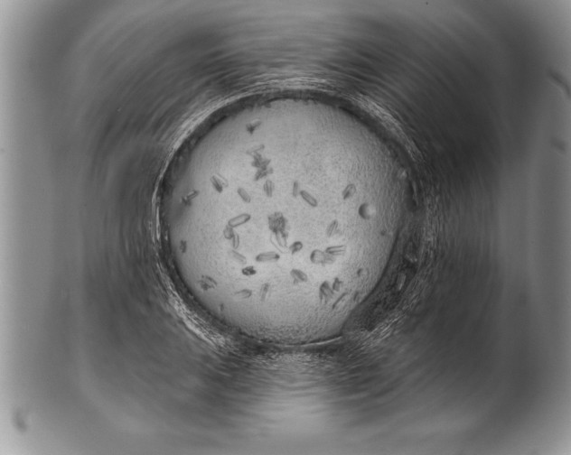 X0000100411031200806201754