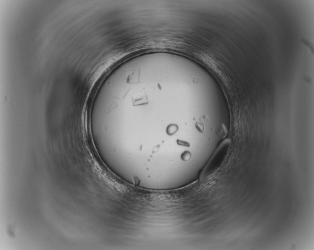 X0000100411032200806201754