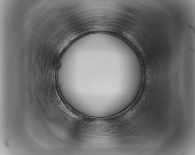 X0000100411033200806201754