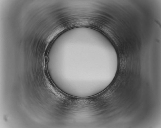 X0000100411034200806201754