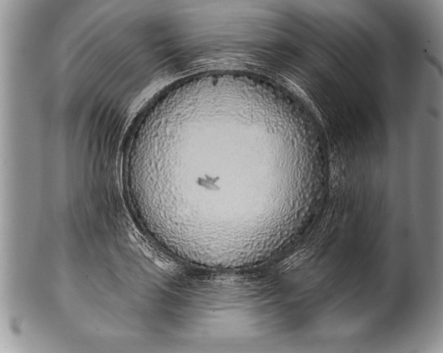 X0000100411035200806201754