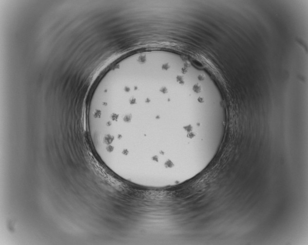 X0000100411036200806201754