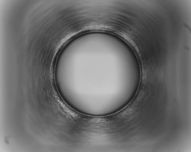 X0000100411037200806201754