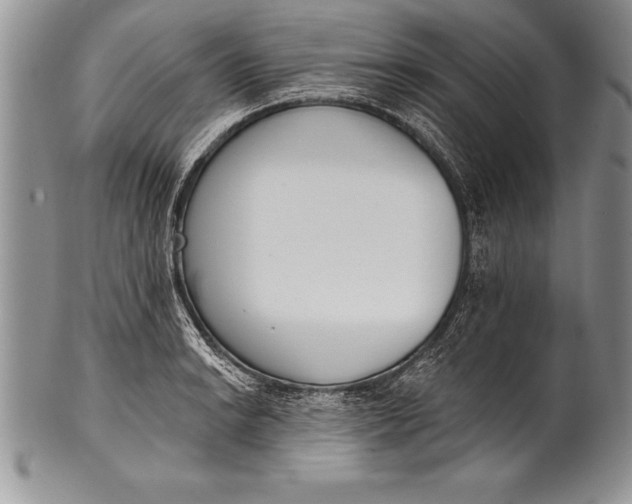 X0000100411038200806201754