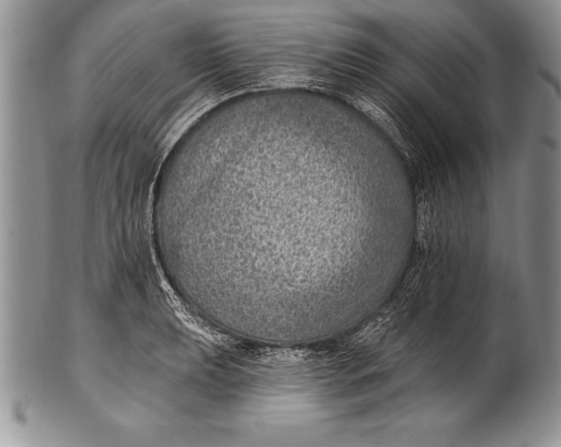 X0000100411039200806201754